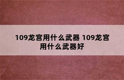 109龙宫用什么武器 109龙宫用什么武器好